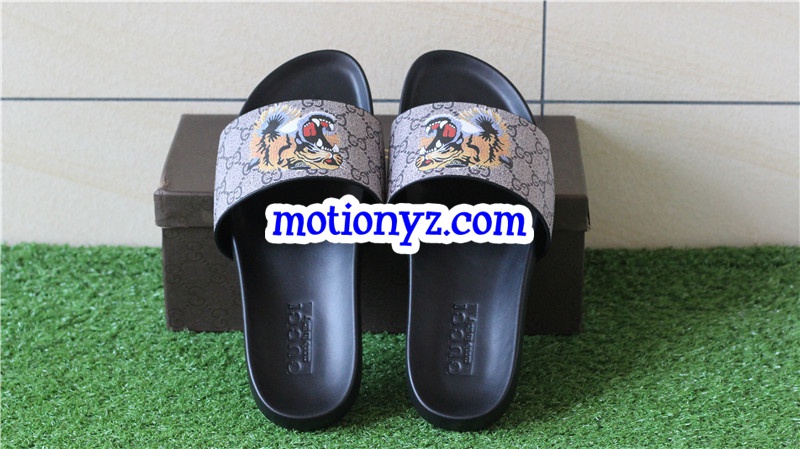 GC Slipper Tiger